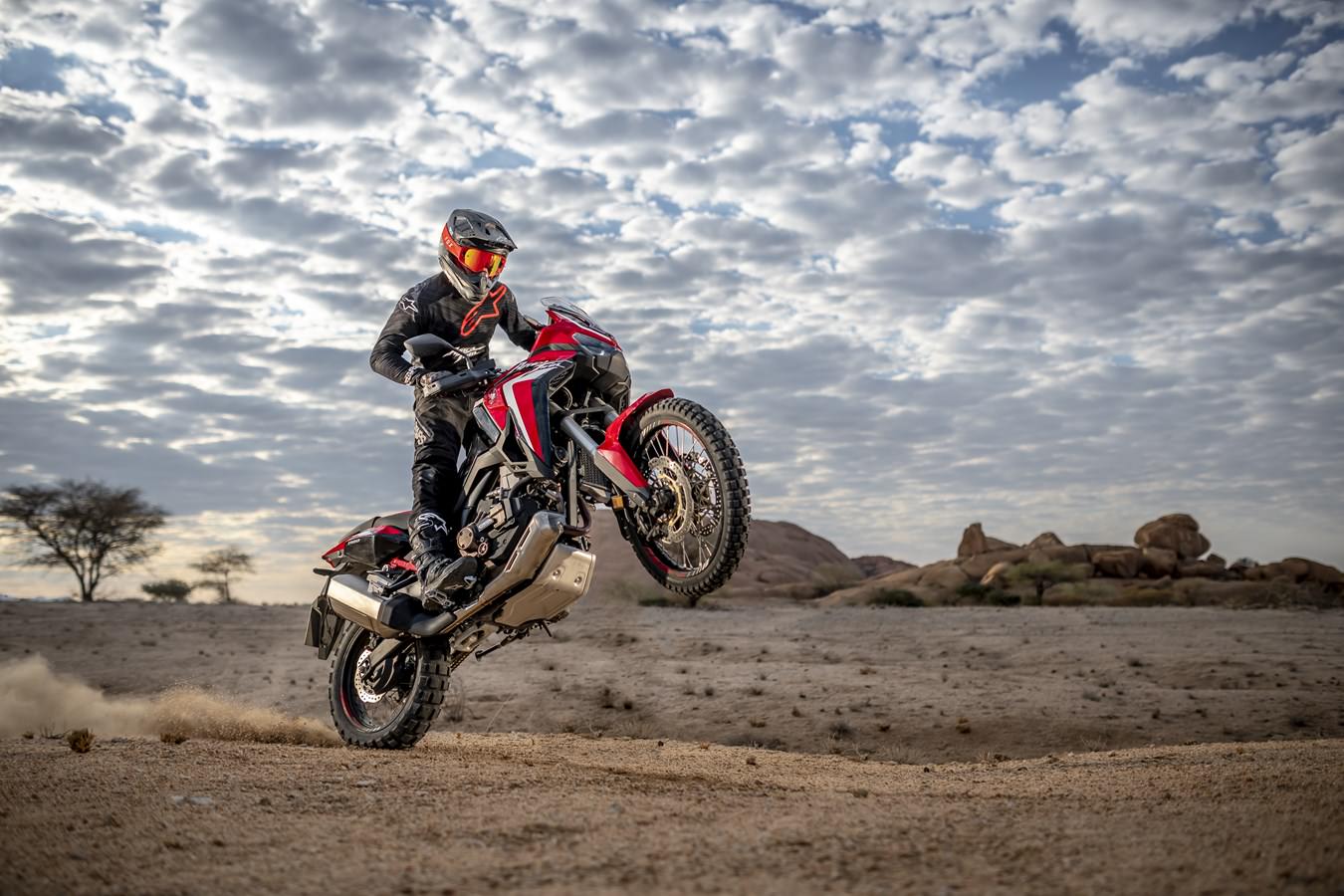 2020 Honda Africa Twin wheelie